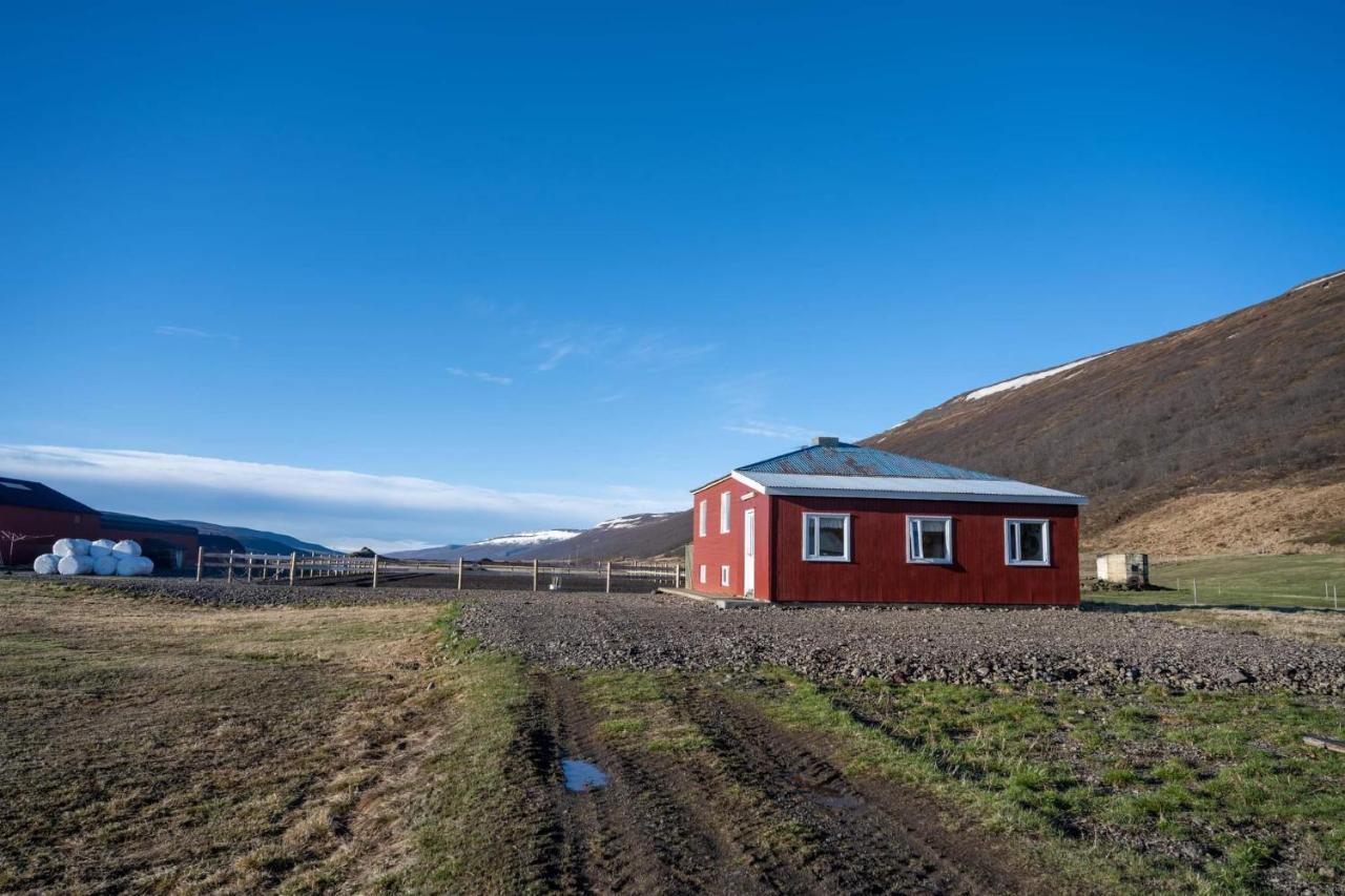 Sandhaugar Guesthouse Kiðagil المظهر الخارجي الصورة