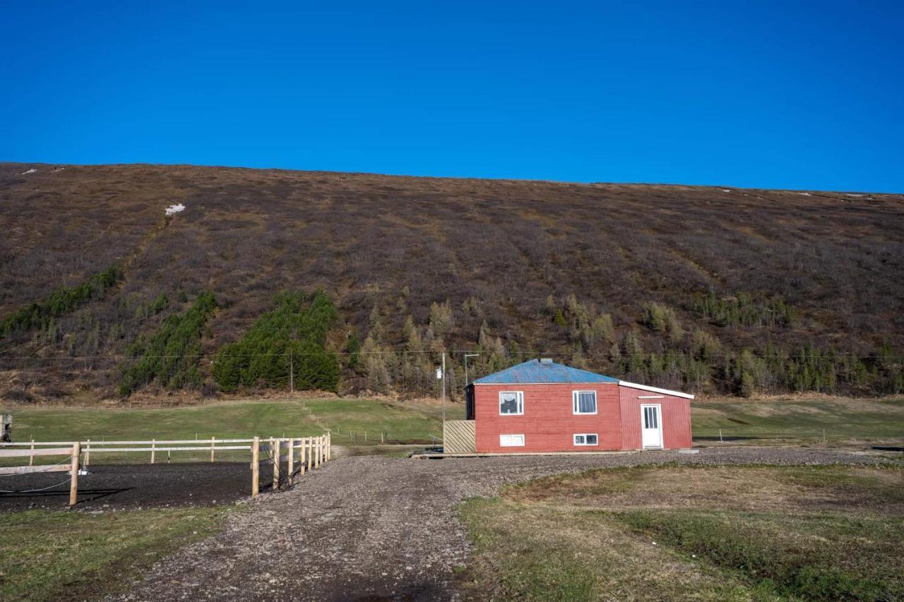 Sandhaugar Guesthouse Kiðagil المظهر الخارجي الصورة